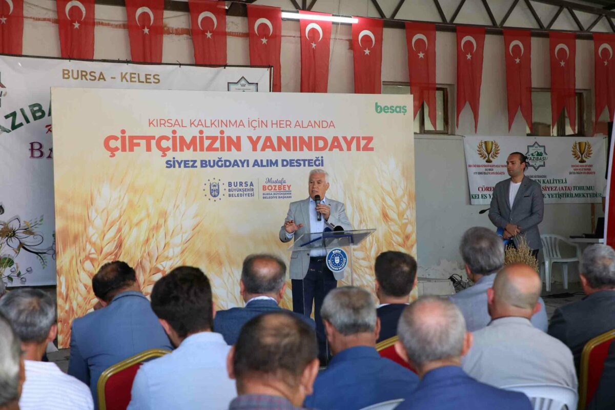 Büyükşehir ‘siyez buğdayı’ desteğiyle çiftçinin yanında