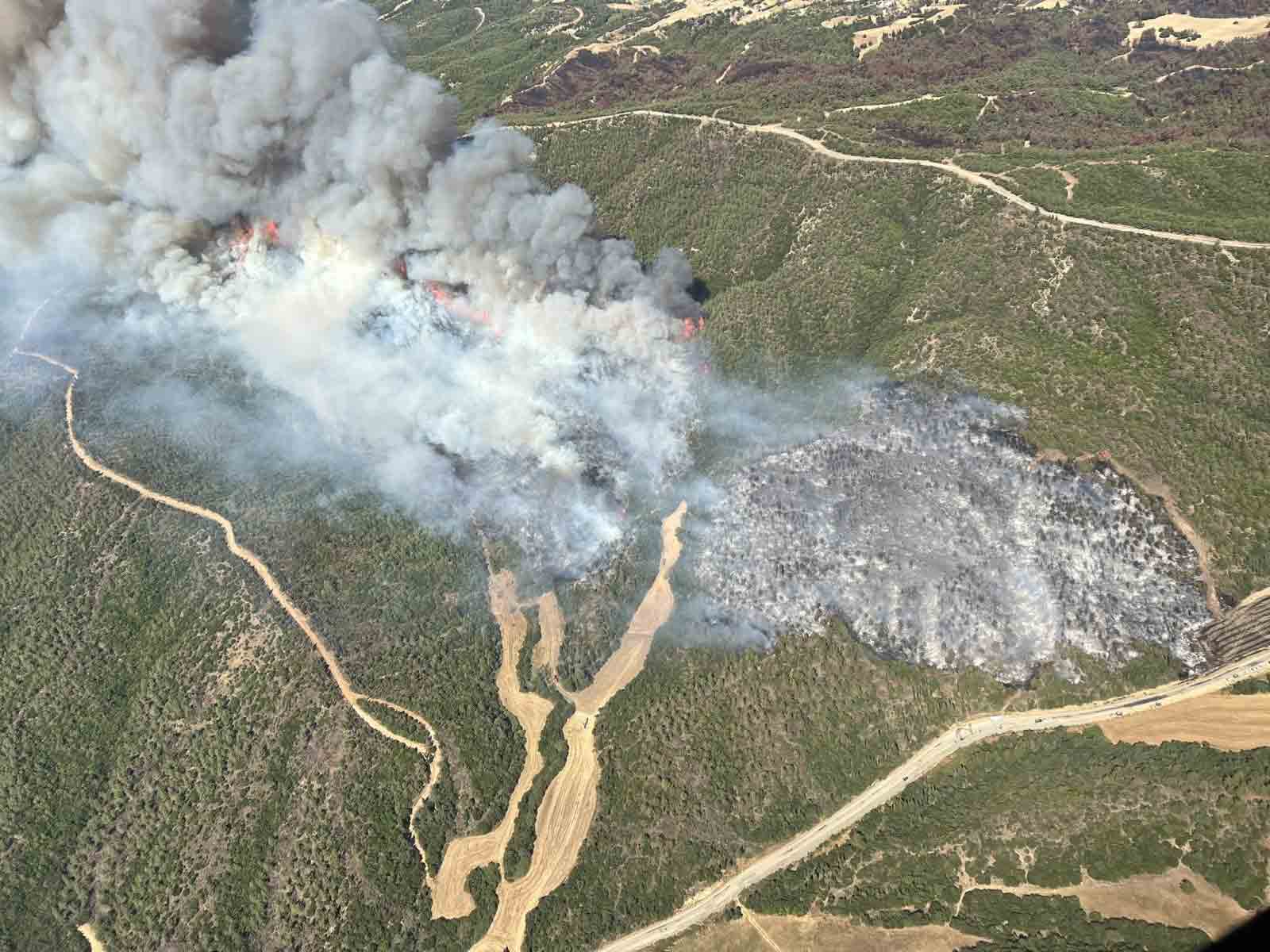 Çanakkale Eceabat’taki orman yangını rüzgarın etkisiyle büyüyor