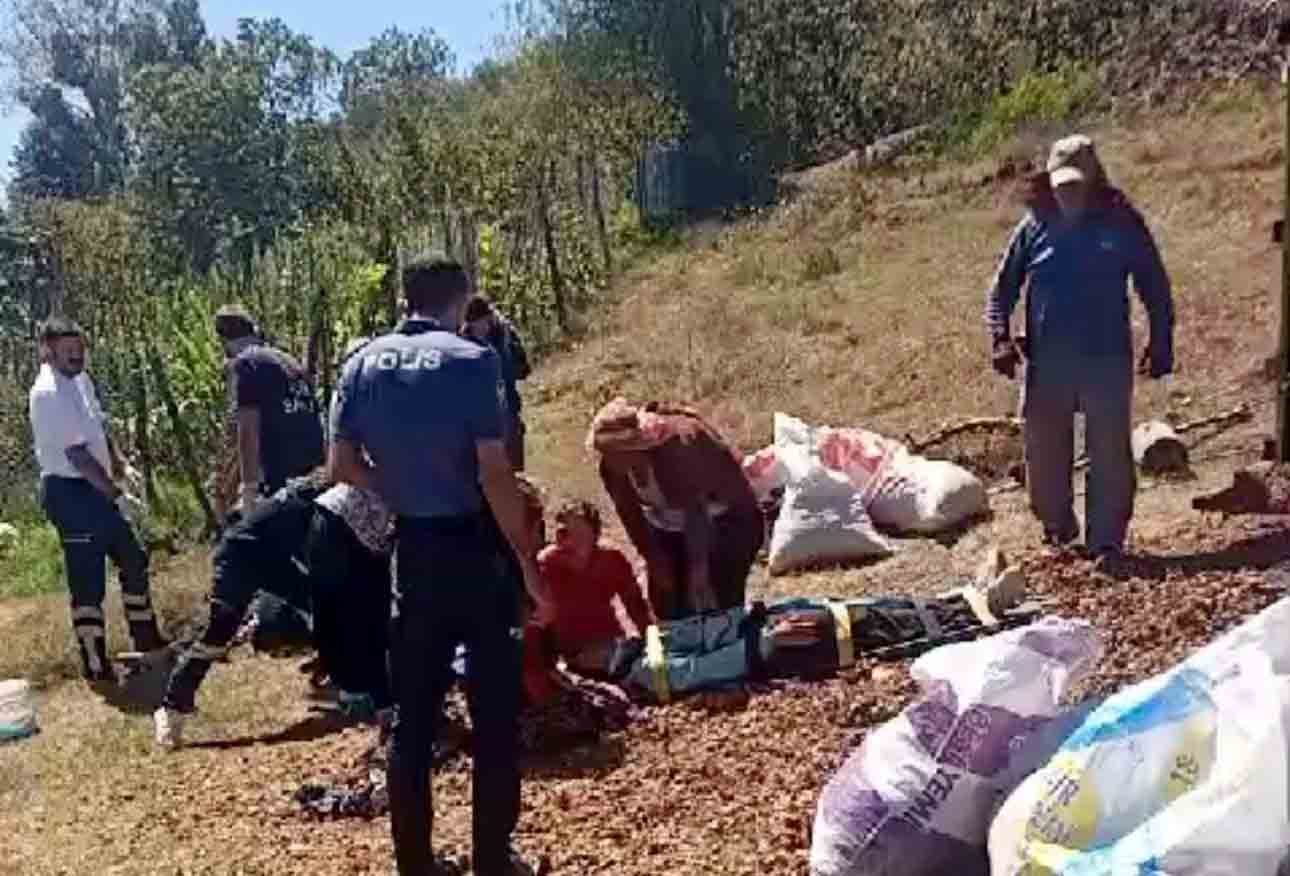 Mevsimlik tarım işçilerini taşıyan traktör devrildi: 13 yaralı