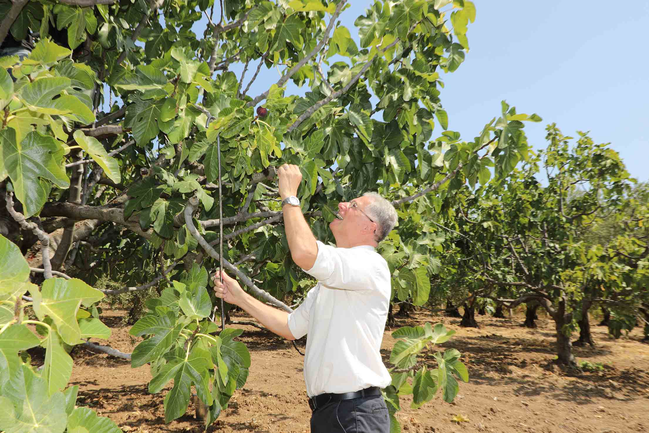 Mudanyalı üreticilere çifte müjde!