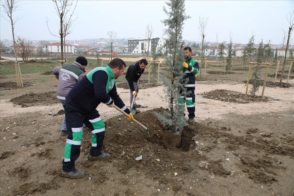 İnegöl nefes alacak; 167 fidan engelliler için dikildi