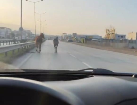 Bursa’da bu soruna çare bulunmayacak mı?