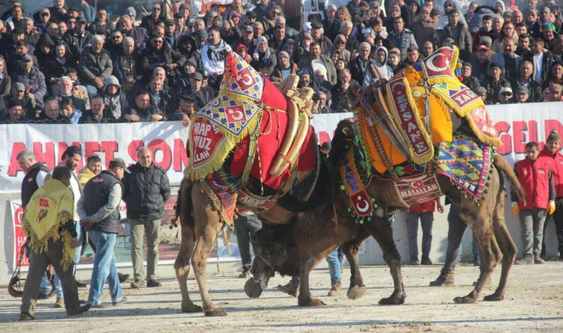 Çanakkale'nin Bayramiç ilçesinde düzenlenen