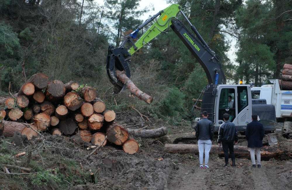 Bursa'da yaklaşık 100 dönüm