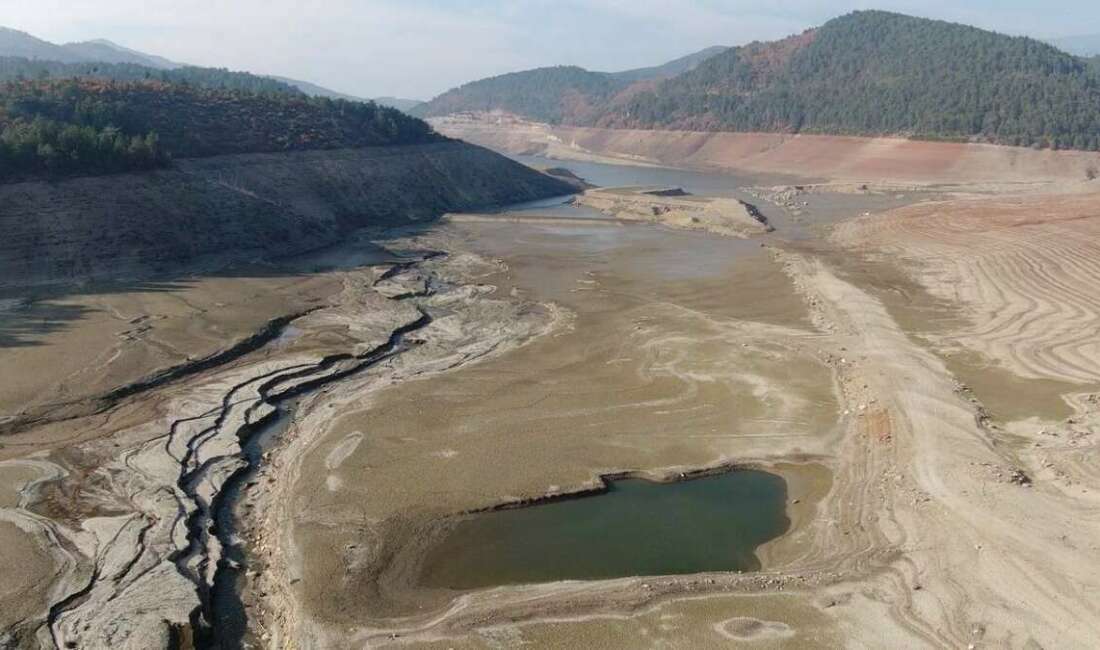 Bursa’da iklim değişikliğinin etkilerini