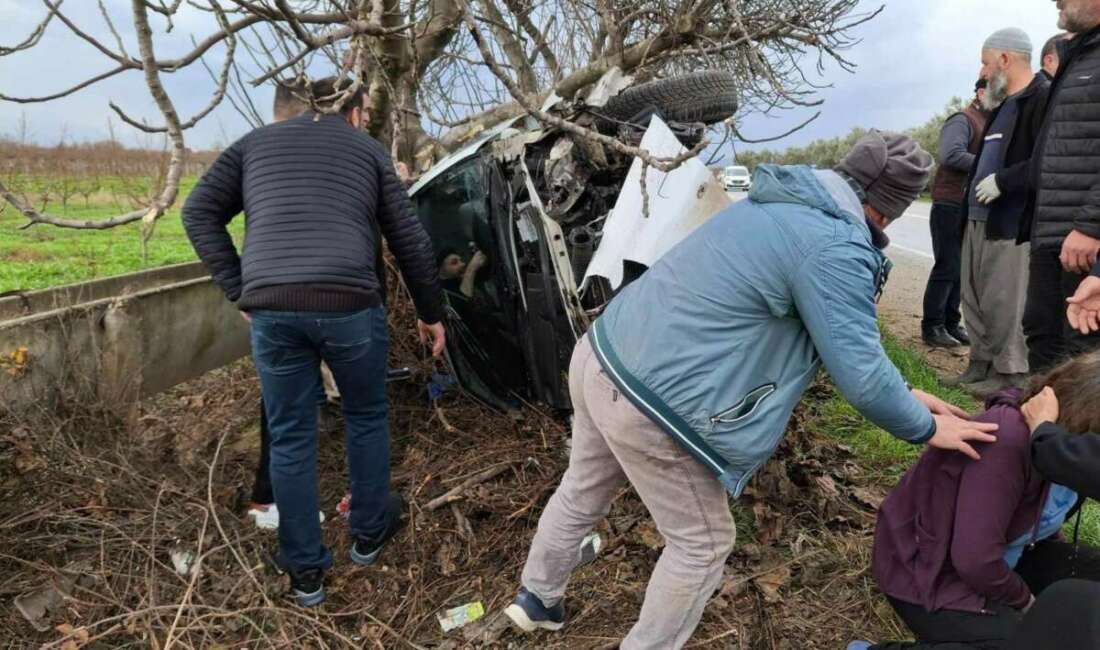 Bursa’nın İznik ilçesinde tırın