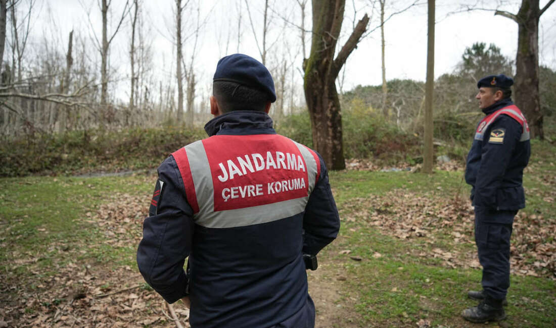 Bursa'nın Karacabey ilçesinde barınaktan