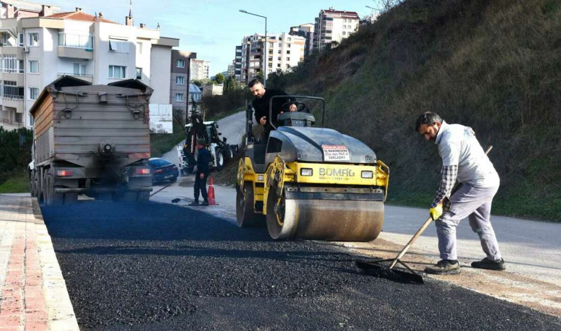 Gemlik Belediyesi, kırsal ve