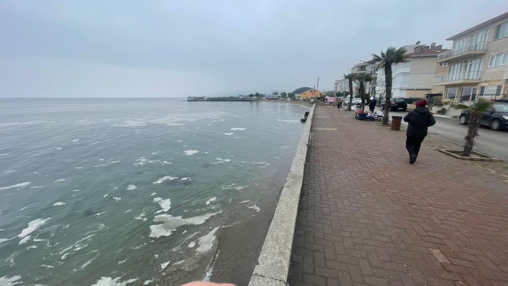 Bandırma Onyedi Eylül Üniversitesi