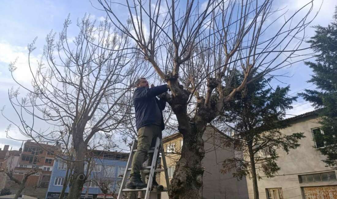 Gemlik Belediyesi Park ve