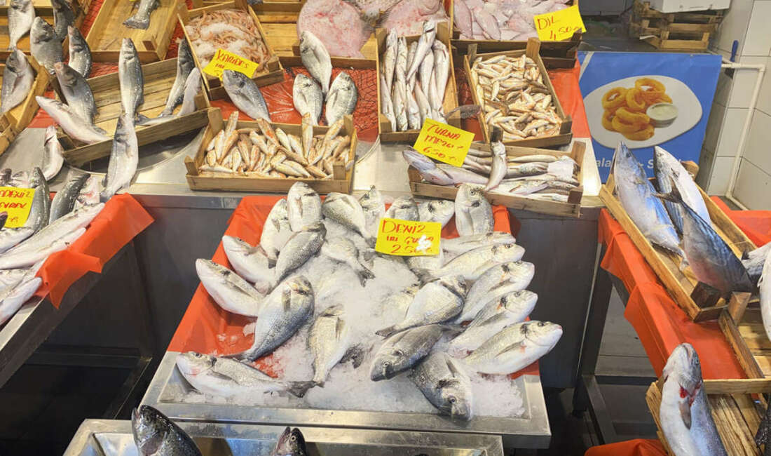 Balık avı sezonu 15