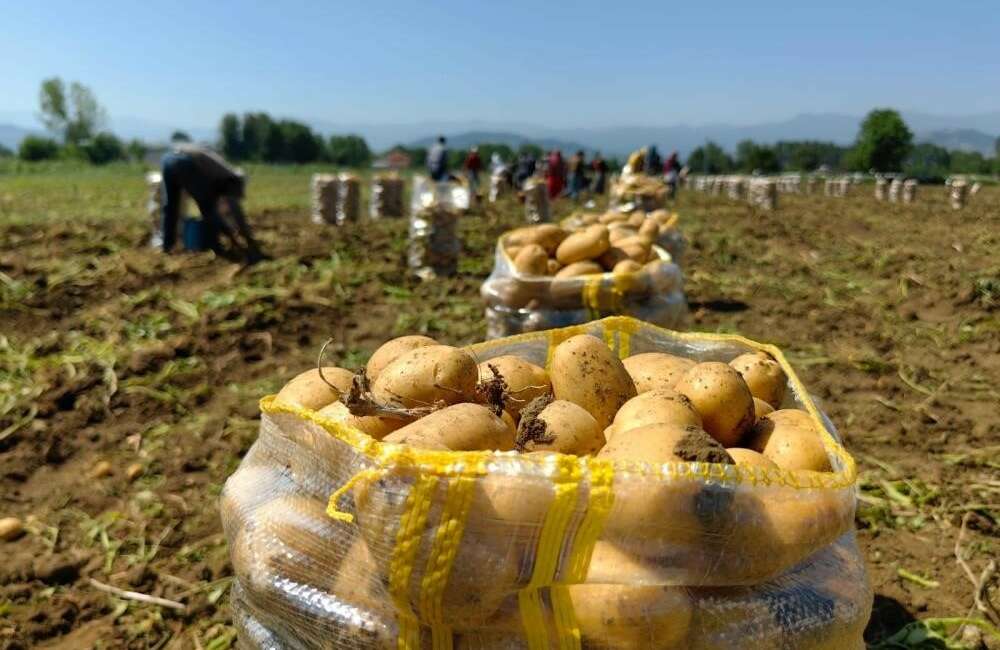 Türkiye'nin bu yılın ocak-şubat