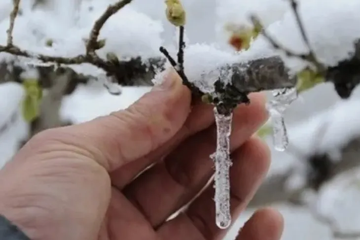 Bursa Valiliği, Meteoroloji Genel Müdürlüğü’nün